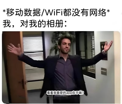 这张梗图上方配有文字“*移动数据/WiFi都没有网络* 我，对我的相册：”，下方是《办公室》电视剧中Ryan Howard角色双臂张开的截图，图片上还有文字“看看我最爱的app在干嘛?”。整个梗图通过幽默的方式表达了当没有网络时，人们只能翻看自己相册的无奈又好笑的情景。