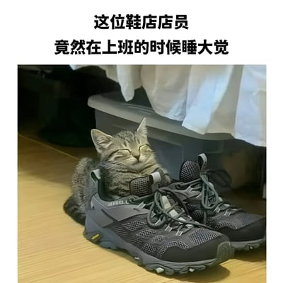 一只灰色条纹猫蜷缩在一双灰色运动鞋里熟睡，巧妙地被比喻为'鞋店店员在上班时间睡大觉'。图片上方配有文字说明，营造出幽默效果。