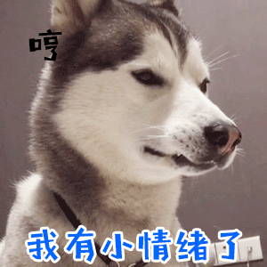 哈士奇闹小情绪动态表情包