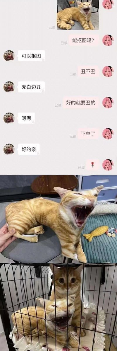 这是一组由聊天记录和实拍图组成的趣味内容：上半部分是用户与定制抱枕商家的聊天，用户发送自家橘猫张嘴打哈欠的魔性照片，明确要求定制无白边的“丑版”抱枕，随后完成下单；下半部分先是展示了定制好的异形抱枕，抱枕完美还原了猫咪的夸张表情和扭曲姿态，魔性十足，最后是真实的橘猫趴在笼子里，一脸震惊疑惑地看着这个和自己“撞脸”的丑抱枕，整个内容充满反差感，搞笑效果拉满，完美实现了用户要“丑”的要求。