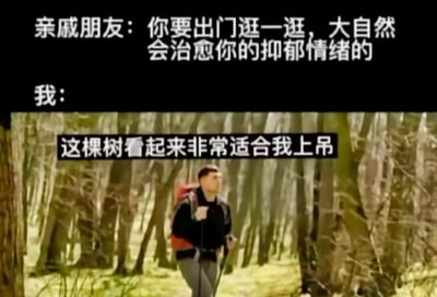 这是一张带有黑色幽默的梗图，上方文字显示亲戚朋友建议："你要出门逛一逛，大自然会治愈你的抑郁情绪的"，下方则是"我："加上一张森林徒步的视频截图，图中叠加文字"这棵树看起来非常适合我上吊"。图片通过强烈的反差展现了抑郁症患者面对善意建议时的内心真实想法与外界期望之间的巨大鸿沟，用极端的黑色幽默手法揭示了对抑郁症认知的误区。