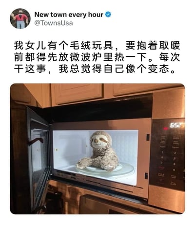 这是一张来自海外社交平台的图文内容截图，上方是认证用户“New town every hour”（@TownsUsa）的配文，内容为“我女儿有个毛绒玩具，要抱着取暖前都得先放微波炉里热一下。每次干这事，我总觉得自己像个变态。”，下方是实拍照片：一扇打开门的微波炉内部，一只树懒造型的毛绒玩具安静地坐在微波炉的转盘上，微波炉的显示屏显示时间为6:52。整个内容通过把毛绒玩具放进微波炉加热的特殊行为，结合家长自嘲式的吐槽，营造出滑稽又温馨的亲子生活氛围，展现了家长为满足孩子需求时的无奈与趣味。
