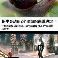 蜘蛛侠缩略图