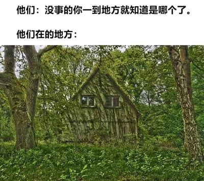 图片上方配有文字“他们：没事的你一到地方就知道是哪个了。他们在的地方：”，下方是一张森林中的废弃房屋照片。房屋被藤蔓和杂草覆盖，周围树木茂密，整体呈现出荒凉、无人问津的景象。通过文字与图像的对比，幽默地表现了“别人说很容易找到的地方，实际却异常隐蔽或难以辨认”的场景，形成期望与现实的反差萌。