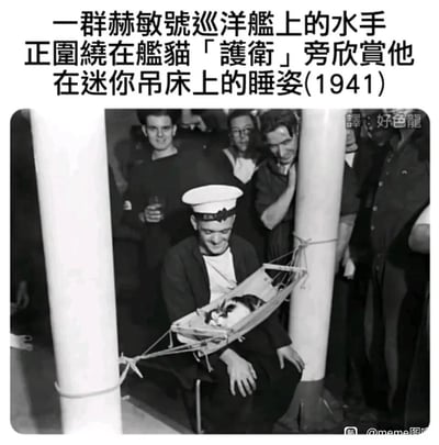 这是一张1941年的黑白历史照片，画面呈现了赫敏号巡洋舰上的温馨场景：多名身着海军制服的水手围聚在一起，脸上带着温和的笑意，将目光投向一只名叫「护卫」的舰猫。这只黑白相间的舰猫正躺在一个被绳索固定在两根立柱之间的迷你吊床里，安然入睡。一名水手蹲在吊床下方，同样面带笑容，整个场景在严肃的军舰环境中显得格外暖心，展现了舰猫作为水手们精神慰藉的一面。