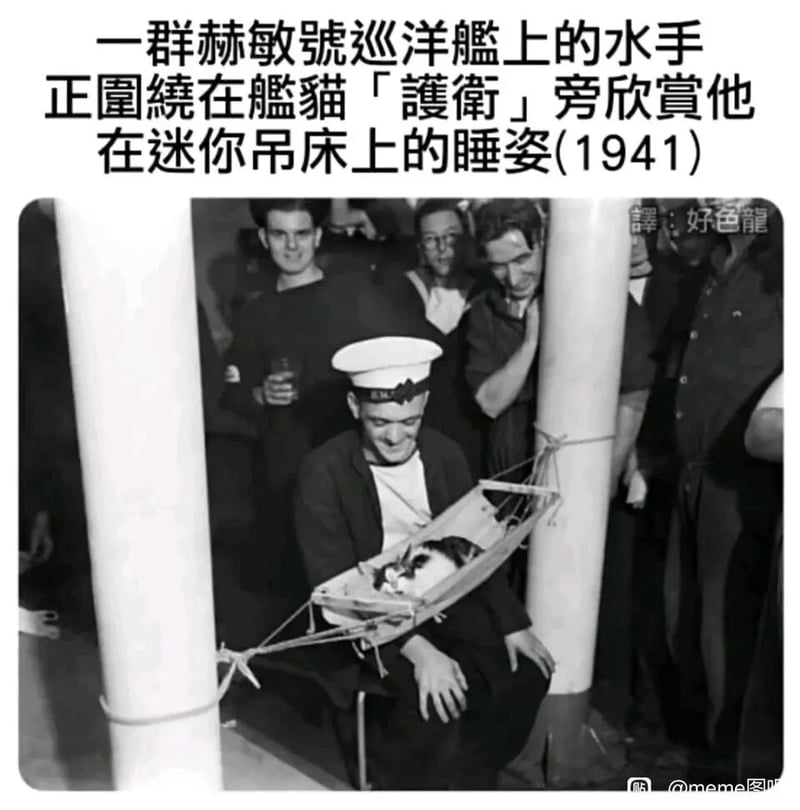 海军水手