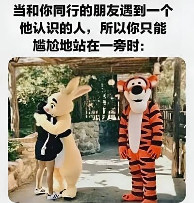 图片上方配有文字“当和你同行的朋友遇到一个他认识的人，所以你只能尴尬地站在一旁时：”，下方是一张主题公园场景的照片。画面中，一个人正与穿着桑普兔（浅黄色兔子）服装的角色热情拥抱，而旁边穿着跳跳虎（橙黑条纹老虎）服装的角色则独自站立，表情看起来有些尴尬，生动形象地演绎了社交场合中自己被冷落时的窘迫状态，充满幽默和共鸣感。