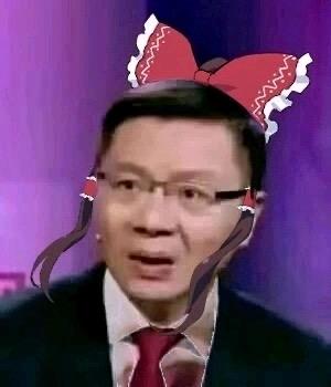 这是一张反差感拉满的搞笑P图，将严肃场合出镜的学者张维为的照片，与东方Project系列角色博丽灵梦的标志性红色蝴蝶结头饰、深色发带相结合，原本严肃的人物形象搭配萌系二次元头饰，形成强烈的视觉反差，制造出滑稽搞笑的效果，适合用作玩梗表情包。