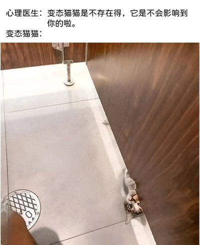 图片上方是心理医生的对话文字：'变态猫猫是不存在得，它是不会影响到你的啦。'，下方配图是一只猫从门缝下探出头向上偷看的照片，猫的眼神显得有些狡黠又带点好奇，与心理医生否认其存在的话语形成强烈反差，通过这种矛盾感制造出幽默搞笑的效果，展现了猫咪调皮捣蛋的一面。