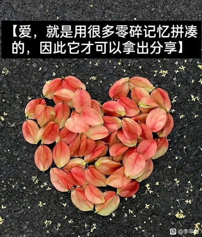 这是一张充满温暖氛围的静态原创摄影图，黑色粗糙的沥青路面上，多片红棕色的栾树果壳被精心拼摆成完整的爱心形状，路面还零星散落着细小的黄色碎花作为点缀。图片上方配有黑底白字的暖心文案：“爱，就是用很多零碎记忆拼凑的，因此它才可以拿出分享”，将自然元素与关于爱的感悟结合，传递出爱由日常细碎记忆组成、值得用心珍藏与分享的温柔理念，整体风格治愈且充满生活气息。
