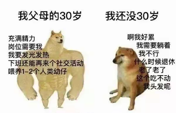 真实动物（柴犬Kabosu）