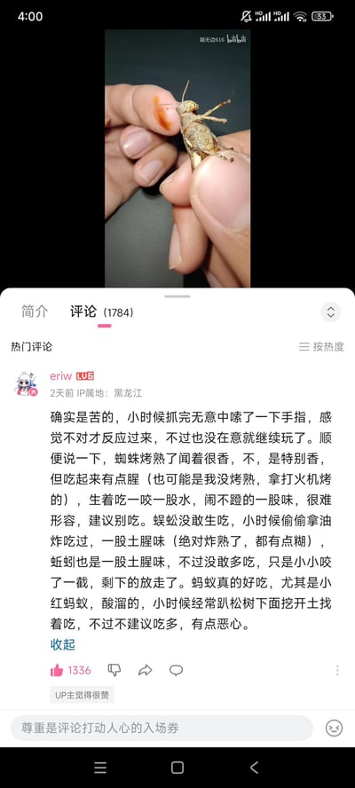 这是B站视频的截图，上方视频画面是一只手捏住一只蝗虫，手指上有疑似蝗虫吐出的液体；下方是评论区的热门评论，用户「eriw」分享了自己童年抓蝗虫后嗦手指尝到苦味，还尝试食用蜘蛛、蜈蚣、蚯蚓、小红蚂蚁等昆虫的猎奇经历，详细描述了每种昆虫的味道和食用体验，内容充满童年的趣味与猎奇感，搞笑又真实，引发网友共鸣。