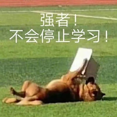 一只棕色的狗仰卧在绿色的草地上，前爪举着一本书放在脸上，背景是模糊的红色跑道。图片上方有白色文字："强者！不会停止学习！"，通过狗看似在认真读书的滑稽姿势与励志文字形成幽默对比，表达了即使在休息时也要坚持学习的调侃意味。