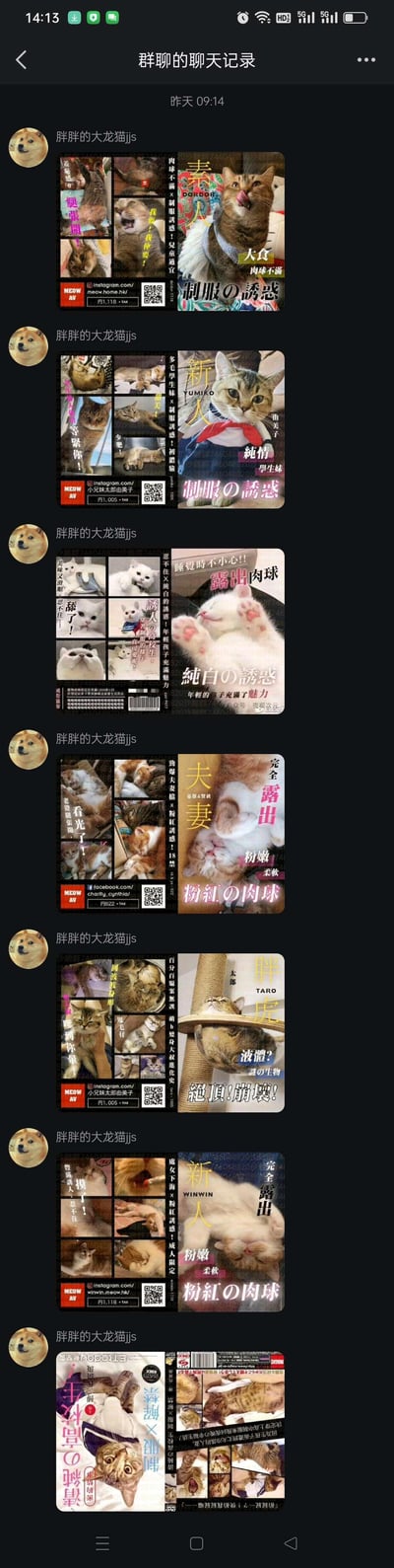 这是一张竖屏手机格式的社交聊天记录截图，展示了名为“群群的大肥志”的用户在群聊中多次分享的猫咪主题图片。每张图片都被编辑成杂志封面风格，主图为不同姿态的猫咪，搭配类似日本杂志的标题文字，如“猫の诱惑”“纯白の诱惑”“街拍の肉球”“夫妻の秘密”“天使の露出”“深夜の加餐”等，部分图片右下角还带有二维码。聊天记录中该用户连续发送了多张此类风格统一的图片，形成重复且富有创意的分享内容。