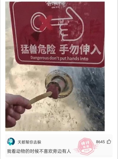 图中展示了一个红色警告牌，上面写着'猛兽危险 手勿伸入'并配有禁止伸手的图示。然而警示牌下方，有人正用木棍挑着香肠伸进一个小孔中喂食动物，完美避开了'用手'的禁令。这种'上有政策下有对策'的幽默行为与警示牌形成鲜明对比，展现了人们面对规则时的机智变通。