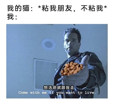 这是一张结合养猫日常的搞笑改编梗图，上方配文设定场景：自家的猫只亲近朋友，却不亲近自己。下方使用科幻电影《终结者2：审判日》的经典截图，将角色手中的内容替换成猫粮，搭配原台词改编的中文配文“想活命就跟我走”和英文原台词“Come with me if you want to live.”，用硬核、夸张的方式，调侃铲屎官面对猫咪“偏心”时，用猫粮作为“筹码”召唤猫咪的无奈又好笑的心态，精准戳中养猫人群的共鸣点，充满趣味。