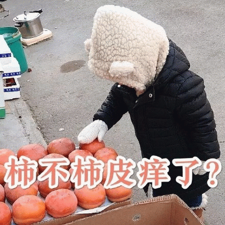 权律二碰柿子玩谐音梗“柿不柿皮痒了？”