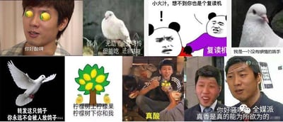 这是一张多图拼接的梗图合集，通过8个不同子画面生动展示了网络流行的“人类四大本质”——复读机、鸽子精、真香怪、柠檬精。画面包含真人截图、动物照片和表情包等多种形式，搭配“你好酸啊”“真香是真的能为所欲为的”等经典台词，精准概括人类普遍行为模式，风格幽默诙谐，充满自嘲意味。