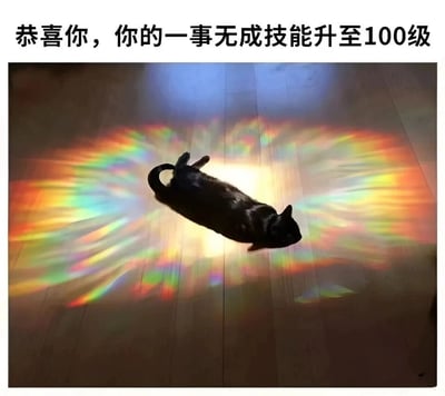 这是一张带有调侃文字的实拍猫咪图，画面中一只黑猫四脚朝天地躺在木质地板上，猫咪身后的地板上投射出类似彩虹翅膀的绚丽光影，给慵懒躺平的猫咪增添了一种“加冕”的反差感。图片顶部配有文字“恭喜你，你的一事无成技能升至100级”，用游戏升级的话术来调侃躺平、一事无成的状态，结合猫咪悠闲摆烂的姿态，形成幽默自嘲的效果，很适合用来表达当代年轻人放松摆烂、自嘲的情绪。