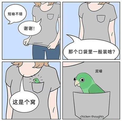 这是一则四格趣味卡通漫画：第一格中，有人对T恤主人的短袖表示夸赞，主人礼貌回应感谢；第二格，对方好奇询问这件T恤的口袋通常用来装什么物品；第三格，主人给出意料之外的回答“这是个窝”，同时T恤的口袋里钻出一只绿色的小鹦鹉；第四格，小鹦鹉探出头，用谐音“泥嚎”（即“你好”）的方式打招呼，形成搞笑的反转效果，将普通的T恤口袋变成了鹦鹉的小窝，充满脑洞趣味。