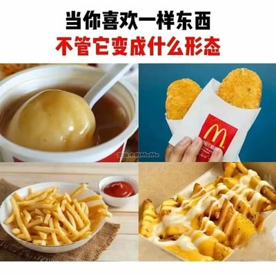 这是一张四格拼接的静态图文内容，顶部配有文字“当你喜欢一样东西 不管它变成什么形态”，用来传递对土豆类美食的喜爱之情。四格图片分别展示了四种不同形态的土豆制品：左上角是盛放在麦当劳容器中搭配酱汁的土豆泥，右上角是装在麦当劳专属包装里的金黄薯饼，有手正握持包装；左下角是盛放在碗中、搭配一小碟番茄酱的经典条状薯条；右下角是淋满芝士酱与黄芥末酱的特色风味薯条。整组图片通过呈现土豆从泥状、压饼状、条状到加料风味条状的百变形态，表达出“只要是喜爱的食材，无论被制作成什么样子都会喜爱”的趣味情感，能够引发广大土豆爱好者和美食爱好者的共鸣。