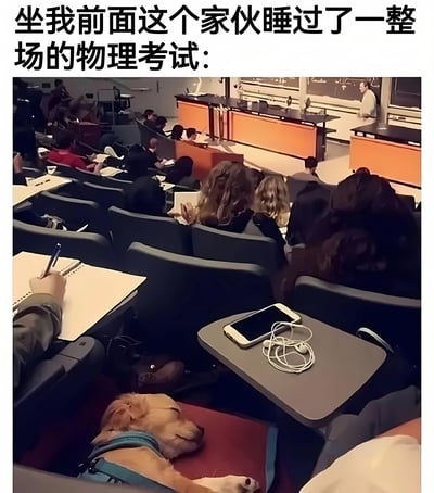 一张在大学阶梯教室里拍摄的照片，显示学生们正在进行物理考试。前景中，一只金毛犬戴着蓝色背带，正舒适地趴在椅子上熟睡，完全无视周围紧张的考试氛围。图片上方配有文字：'坐我前面这个家伙睡过了一整场的物理考试:'，通过将狗拟人化，幽默地表现了它'睡过头错过考试'的场景，形成了人与动物行为对比的喜剧效果。