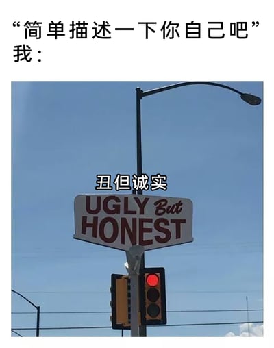 这是一张充满自嘲趣味的搞笑梗图，图中上方设置了一段对话场景：提问者提出“简单描述一下你自己吧”的问题，随后以“我：”引出回应；下方是一张国外街头的实拍照片，画面里的创意路牌上印有英文“UGLY But HONEST”，同时在路牌上方配有对应的中文翻译“丑但诚实”，用路牌上的文字来作为自我描述的答案，以自黑的幽默方式，调侃自己虽然外形不出众，但拥有诚实的优良品质，整体内容轻松搞笑，适合在社交场景中用于自我调侃。