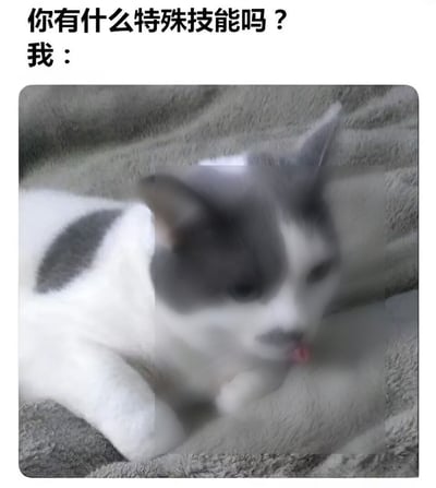 该图为图文混排的搞笑表情包，顶部配有黑色文字“你有什么特殊技能吗？我：”，下方是一张灰白相间猫咪的模糊动态截图，猫咪趴在毛绒质感的布料上，面部带有重影，正伸着红色的舌头快速抖动，画面的模糊感凸显出猫咪动作飞快，整体用夸张的方式幽默自嘲自己没有实用的特殊技能，仅有的“技能”没有实际用处，充满戏谑感。