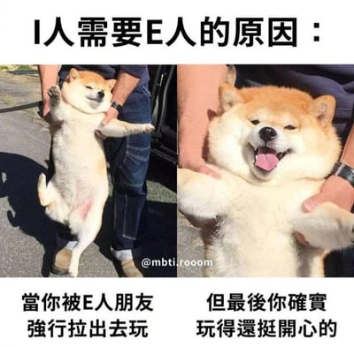 这是一张左右分栏的静态梗图，围绕MBTI人格分类中的I人（内向者）和E人（外向者）展开，生动呈现了内向者被外向朋友带动的真实社交经历。图中顶部配有文字‘I人需要E人的原因：’，左侧画面是一只柴犬被人架着，四肢摊开，一脸抗拒生无可恋的表情，下方配文‘当你被E人朋友强行拉出去玩’，对应内向者被迫参与社交时的抗拒心态；右侧画面是同系列的柴犬被人抱着，张嘴吐舌，表情十分开心，下方配文‘但最后你确实玩得还挺开心的’，对应内向者实际体验后获得快乐的状态。整张图精准戳中了内向人群在社交中的矛盾心理，既有被强行拉出门的不情愿，又有实际玩起来后的愉悦，引发大量网友的共鸣。