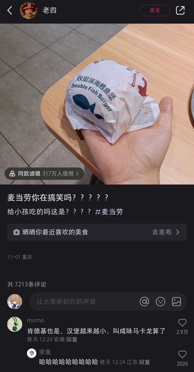 这是一张竖屏的社交媒体截图，用户“老四”发布了自己拍摄的麦当劳双层深海鳕鱼堡，汉堡被手掌托着，尺寸显得非常迷你，配文表达了对汉堡过小的不满，质疑是给小孩吃的。图片带有“同款滤镜317万人使用”的标识，评论区用户“momo”留言吐槽肯德基的汉堡也存在尺寸缩水的问题，调侃可以称为“咸味马卡龙”，该评论获得2.9万点赞，引发了其他用户的共鸣，共同讨论快餐品牌汉堡尺寸缩水的现象。