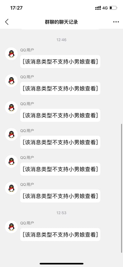 手机截图展示了一个QQ群聊界面，标题为'群聊的聊天记录'。界面显示多个来自'QQ用户'的相同消息：'[该消息类型不支持小男娘查看]'，时间戳显示消息发送于12:46至12:53之间。截图顶部显示当前时间为17:27，设备处于4G网络环境。