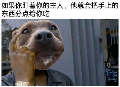 图片中一个戴着狗头面具的人单手托腮，表情若有所思地望向斜上方。上方配有文字'如果你盯着你的主人，他就会把手上的东西分点给你吃'，幽默地表现了宠物狗通过眼神向主人讨食的常见行为，将人类的思考姿态与狗的本能需求结合，产生滑稽效果。