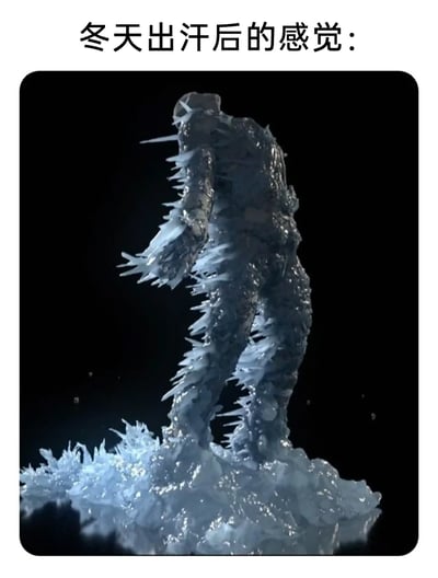 这是一张带有文字注解的3D渲染静态图，图上方配有文字“冬天出汗后的感觉”。画面主体是一个完全被尖锐冰刺覆盖的人形形象，冰刺从人形的四肢、躯干等各个部位向外凸起，底部还延伸出大量冰晶，整体呈现出一种被彻底冰封的状态。这张图用夸张且具象的视觉效果，精准地调侃了冬季出汗后，汗水在低温环境下快速冷却，让人浑身感受到刺骨冰冷的真实体感，将抽象的身体感受转化为直观的视觉冲击，十分生动有趣。