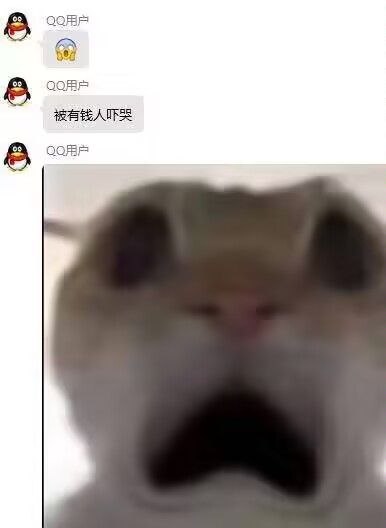 这是一张QQ聊天记录截图，上方QQ用户首先发送了一个震惊的小黄脸表情，接着发送文字“被有钱人吓哭”，随后附上了一张非常模糊的动物面部特写图，图中的动物（仓鼠）嘴巴大张，神情十分震惊，恰好对应前文表达的被他人财力震撼的情绪，因图像过于模糊难以辨认物种，发布者配文标题发问“这不是鼠吗”，充满搞笑趣味。