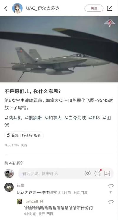 社交媒体截图显示用户“UAC_伊尔库茨克”发布的内容，包含一张战斗机飞行照片，配文“不是哥们儿，你什么意思？第8次空中战略巡航，加拿大CF-18监视伴飞图-95MS时放下了尾钩。”并带有#战斗机 #俄罗斯 #加拿大 等话题标签。评论区有用户“花生”留言“我认为这是一种性骚扰”，以及“TomcatF14”的搞笑评论“哈哈哈哈哈哈哈哈哈哈哈哈布什戈门”。