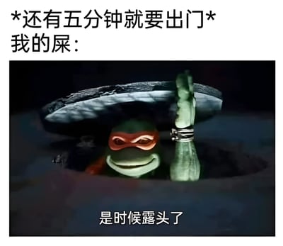这是一张结合文字与影视截图的搞笑梗图。图片上方文字为“*还有五分钟就要出门* 我的屎：”，下方是《忍者神龟》中的角色米开朗基罗从井盖下探出头，单手举起井盖，面带得意表情，图片底部配有字幕“是时候露头了”。通过拟人化手法，幽默地表现了人们在即将出门前突然需要上厕所的尴尬又真实的生活场景，“露头了”既指忍者神龟从井盖下出现，也暗指生理需求不合时宜地到来。