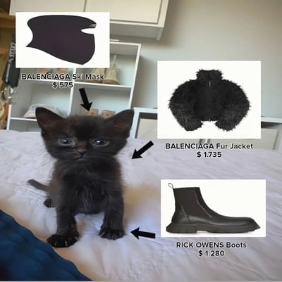 图片主体是一只黑色小猫端坐于白色床单上，圆睁双眼表情无辜。画面周围分布三个奢侈品单品图片：左上角为标价$575的BALENCIAGA滑雪面罩，右上角是售价$1,735的BALENCIAGA毛茸茸夹克，右下角则是$1,280的RICK OWENS靴子。每个单品都有黑色箭头指向小猫，通过视觉联想幽默对比小猫的毛色、形态与高价奢侈品的相似之处，暗讽高端时尚的设计与定价。