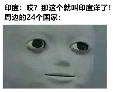图片上方文字为“印度：哎？那这个就叫印度洋了！周边的24个国家：”，下方是一张娃娃的面部特写。娃娃有着超大的黑色眼珠，眼神直视前方，嘴巴呈一条直线，表情呆滞且略带诡异，以此幽默地表现当印度为海洋命名后，周边24个国家可能出现的无语或震惊反应。