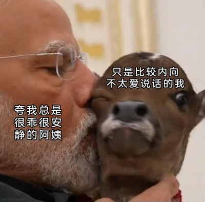 这是一张由新闻图片二次创作的搞笑梗图，图中印度总理莫迪亲昵地抱着并亲吻小鹿，网友为图片添加文字：将莫迪标注为“夸我总是很乖很安静的阿姨”，将表情抗拒、脸部被挤压的小鹿标注为“只是比较内向不太爱说话的我”，以此类比内向者在面对长辈夸赞自己“安静乖顺”时，内心充满不自在、抗拒却无法表达的真实心境，精准戳中内向人群的社交痛点，引发共鸣。