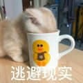 躲进杯子逃避现实的小猫咪