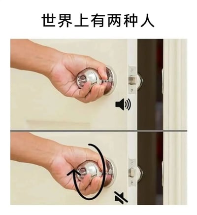 这是一张上下分栏的对比静态图，顶部配文“世界上有两种人”。上图展示第一种人开门的方式：仅按压球形门把手，此时门锁部件发出声响，配有带声波的音量图标；下图展示第二种人开门的方式：先顺时针旋转门把手，再按压开门，配有静音图标，以此避免门锁发出声音。图片通过日常开门的微小行为差异，调侃人们在生活习惯上的不同，一种不在意开门的声响，一种会刻意避免制造噪音，容易引发网友对自身日常行为的共鸣。