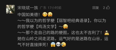 这是一张社交媒体评论区的横屏截图，来自广东的用户“宋晓斌一族”17小时前发布了这条评论，获得2个点赞。评论内容先是玩了谐音梗“中国如美德”，随后区分了两种不同风格的哲学梗：自己理解的是“弱智吧经典语录”这类无厘头风格，他人认知的则是“鸡汤文学”风格；接着重点吐槽了“走自己的路”相关的梗图，认为该梗图场景非常不吉利，描述梗图里的人物在山岭间的泥路行走，最好的结果是迷路在山谷，最坏则是摔死，同时搭配了😏、🥰、😤、😱、💀、🤣等多个表情符号来传递调侃、吐槽的情绪。