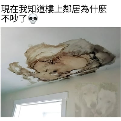 图片上方有文字'现在我知道楼上邻居为什么不吵了'并配有骷髅头表情符号，下方是一张天花板照片，上面有一大块类似骷髅头形状的水渍污渍。这张图通过视觉巧合制造黑色幽默，暗示楼上邻居可能遭遇不幸所以不再吵闹。