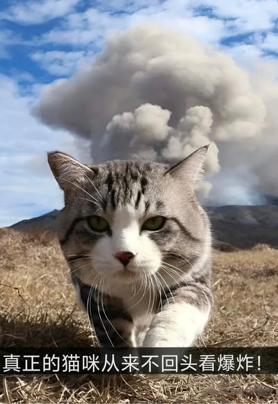 一只表情严肃的灰白相间虎斑猫正向前行走，背景是巨大的火山喷发场景，浓密的灰白色火山灰云直冲蓝天。图片底部配有文字“真正的猫咪从来不回头看爆炸!”，形成强烈的幽默对比效果。猫咪的冷静淡定与身后的剧烈爆炸形成鲜明反差，创造出喜剧效果。
