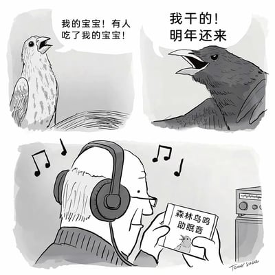 这是Tommy Siegel创作的幽默连环漫画，分为上下两个部分：
上半部分是两只鸟的冲突现场，白色的鸟仰头悲痛哭喊：“我的宝宝！有人吃了我的宝宝！”，黑色的鸟则嚣张地回应：“我干的！明年还来”，充满了激烈的恩怨冲突；
下半部分是一位戴着大耳机的老人，正惬意地听着名为《森林鸟鸣助眠音》的音频，完全不知道自己所听的“治愈鸟鸣”，实际是鸟类之间充满仇恨的对话现场。
漫画通过老人的认知与实际内容的强烈反差，制造出荒诞搞笑的效果。