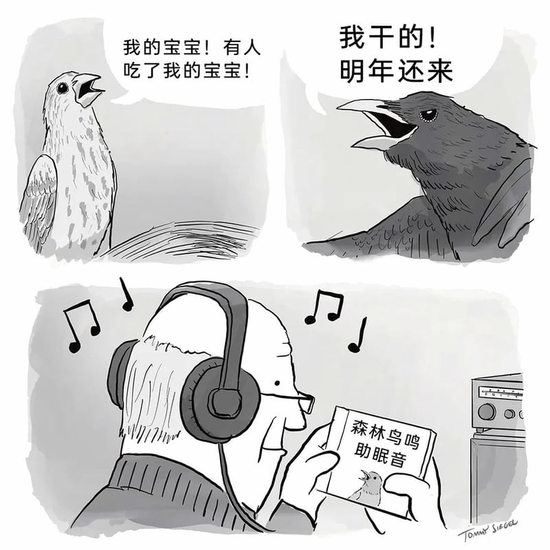 Tommy Siegel原创漫画