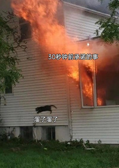 这是一张用于调侃出尔反尔行为的搞笑梗图，画面展示了一栋正在剧烈燃烧的房屋，火焰从二楼窗户喷涌而出，一只黑猫正从房屋外墙上跳下，逃离火场。图中配有两行文字，上方文字为“30秒钟前承诺的事”，下方文字为“溜了溜了”，用黑猫逃离火灾现场的紧急场景，比喻人刚做出承诺就立刻反悔、逃避责任的行为，生动又带有讽刺意味，常用于吐槽不守承诺的行为。