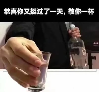 图片上方为黑色背景白色文字“恭喜你又挺过了一天，敬你一杯”，下方是一只手拿着装有透明液体的小酒杯，另一只手握着一瓶透明酒瓶，整体营造出一种轻松庆祝度过一天的氛围，常用于日常自我鼓励或朋友间调侃。