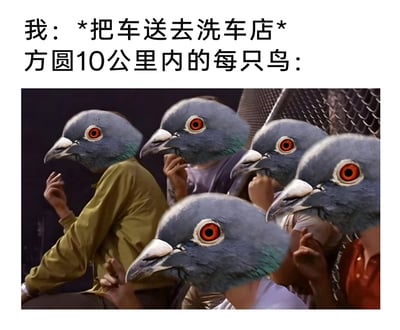 这是一张用来吐槽生活日常的搞笑梗图，上方配有两行文字：“我：*把车送去洗车店* 方圆10公里内的每只鸟：”，下方是经过P图改编的画面，将一群坐着的人的头部替换成了鸽子的头，这些“鸽子人”眼神锐利且紧盯前方，仿佛正锁定刚洗完的车辆，生动且夸张地调侃了许多人都经历过的“刚洗完车就被鸟拉屎在车身上”的倒霉巧合，用幽默的方式表达了这种生活小插曲带来的无奈感。