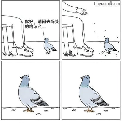 四格连环漫画描绘了趣味互动场景：第一格中，一位坐在长椅上的路人（仅露出腿部和鞋子）对地面的鸽子说“你好，请问去码头的路怎么....”；第二格中，路人伸出手掌，鸽子面前散落着几颗面包屑，似乎在示意方向；第三、四格为鸽子的特写，它眼神淡定，表情仿佛带着了然的笑意，通过面包屑完成了“指路”。整体风格轻松幽默，展现了动物拟人的趣味创意。